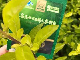 最近出差频繁,熬夜工作,眼睛近视加深,所以买来护肝。