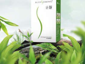 肥胖的6大原因